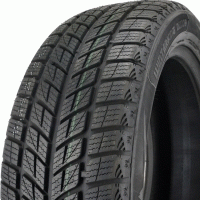 Зимние шины Doublestar Winterking DW09 275/40 R20 106V XL